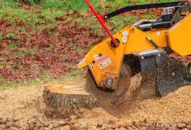 Best Lawn Drainage Solutions  in Holiday, FL