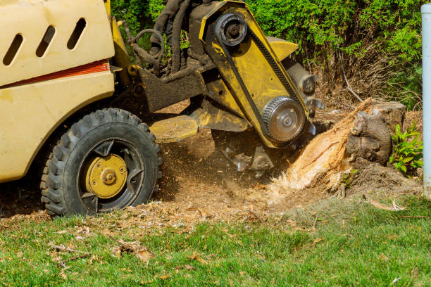 Best Lawn Fertilization  in Holiday, FL