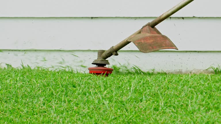 Best Organic Lawn Care Solutions  in Holiday, FL